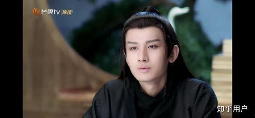 娱乐圈柚子君爆料成毅,娱乐圈柚子君独家爆料，揭秘明星背后的故事